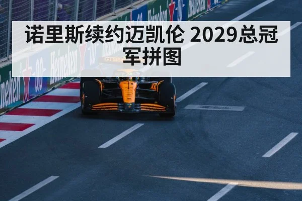 诺里斯续约迈凯伦 2029总冠军拼图（jiuyouhui）