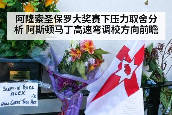阿隆索圣保罗大奖赛下压力取舍分析 阿斯顿马丁高速弯调校方向前瞻（jiuyouhui）
